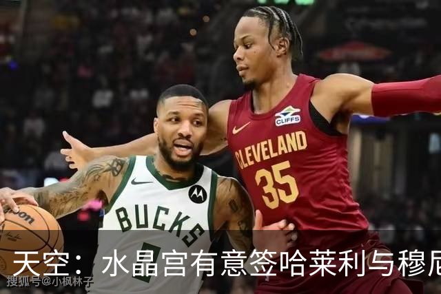 天空：水晶宫有意签哈莱利与穆尼奥斯形成竞争 然而后者未来未定