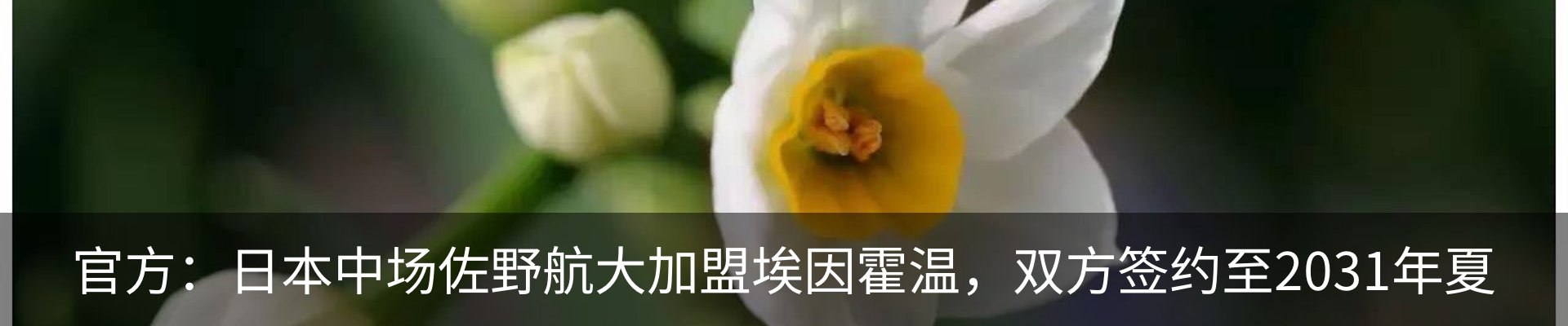 新闻动态