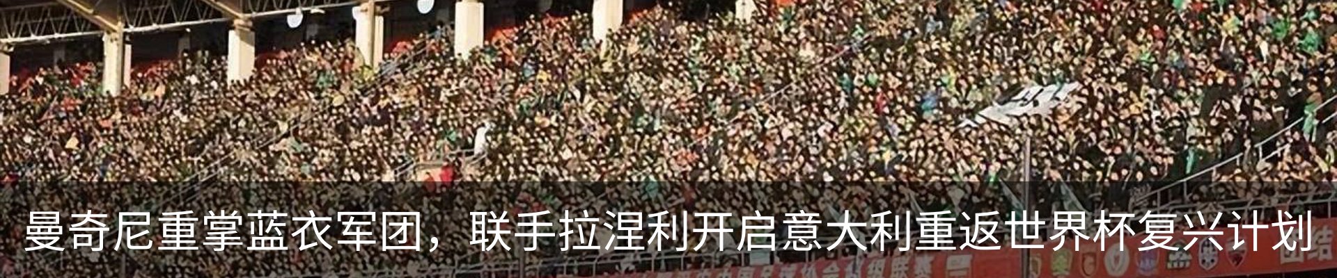 新闻动态