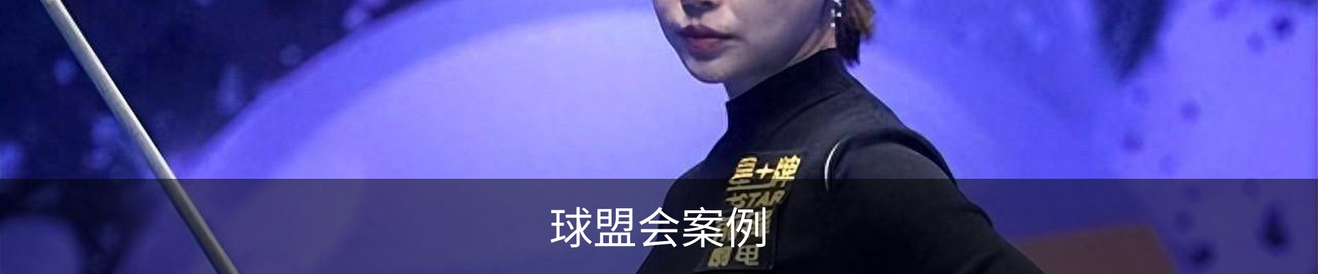 球盟会案例