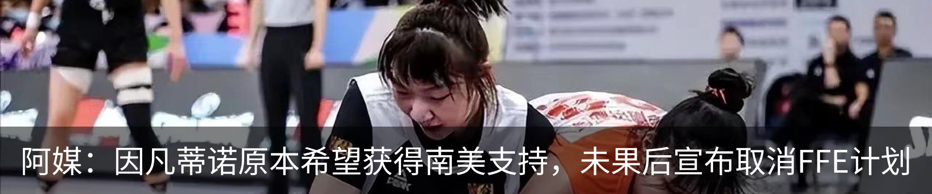 新闻动态